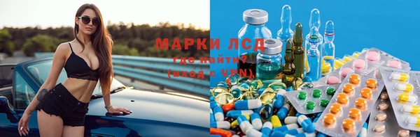индика Заводоуковск