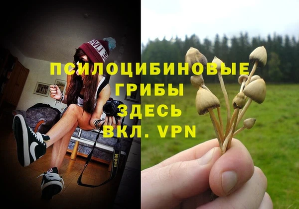 герыч Абинск