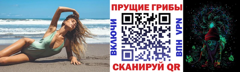 Галлюциногенные грибы Magic Shrooms  mega ССЫЛКА  Ливны  цена наркотик 